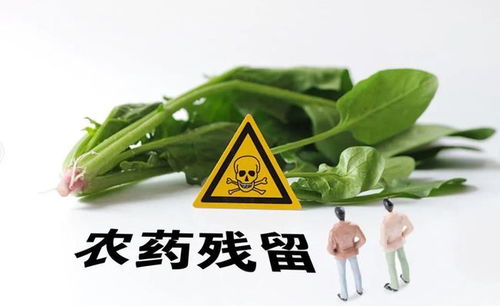 瀘州食品檢查通報 知名超市與火鍋店現(xiàn)不合格食品，市民需警惕