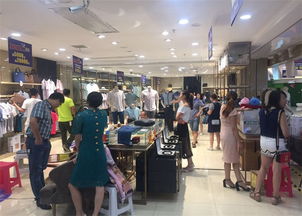 安徽發現之光教育信息咨詢 照亮成長之路的專業引航